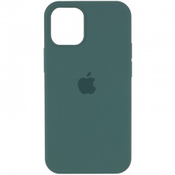 Чохол для Apple iPhone 13 Pro - Silicone Case Full Protective (AA) (Зелений / Light cactus)