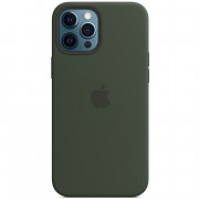 Чехол для Apple iPhone 12 Pro / 12 (6.1"") - Silicone case (AAA) full with Magsafe (Зеленый / Cyprus Green)