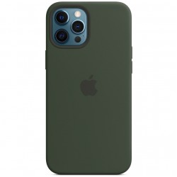 Чохол для Apple iPhone 12 Pro / 12 (6.1"") - Silicone case (AAA) full with Magsafe (Зелений / Cyprus Green)