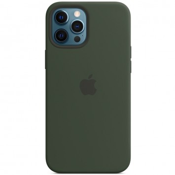 Чохол для Apple iPhone 12 Pro / 12 (6.1"") - Silicone case (AAA) full with Magsafe (Зелений / Cyprus Green)
