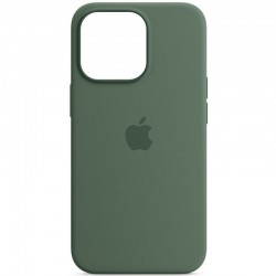 Чохол Silicone case (AAA) full with Magsafe для Apple iPhone 13 Pro (6.1"), Зелений / Eucalyptus