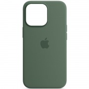 Чехол Silicone case (AAA) full with Magsafe для Apple iPhone 13 (6.1"), Зеленый / Eucalyptus