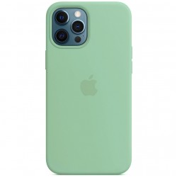 Чехол Silicone case (AAA) full with Magsafe для Apple iPhone 12 Pro / 12 (6.1"), Зеленый / Pistachio