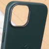Шкіряний чохол Leather Case (AAA) with MagSafe для Apple iPhone 14 (6.1"), Succulent