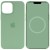 Чохол для Apple iPhone 12 Pro Max (6.7"") - Silicone case (AAA) full with Magsafe and Animation (Зелений / Pistachio)