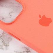 Чехол для iPhone 13 Pro - Silicone case (AAA) full with Magsafe and Animation (Розовый / Pink Pomelo)