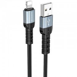 Кабель заряджання Apple Borofone BX64 Special USB to Lightning (1m) Чорний