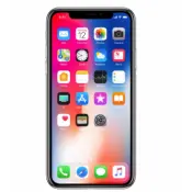 iPhone X