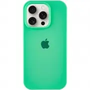 Чохол Silicone Case Full Protective (AA) для Apple iPhone 13 Pro (6.1") Зелений / Spearmint