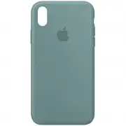Чохол Silicone Case Full Protective (AA) для Apple iPhone XR (6.1") Зелений / Cactus