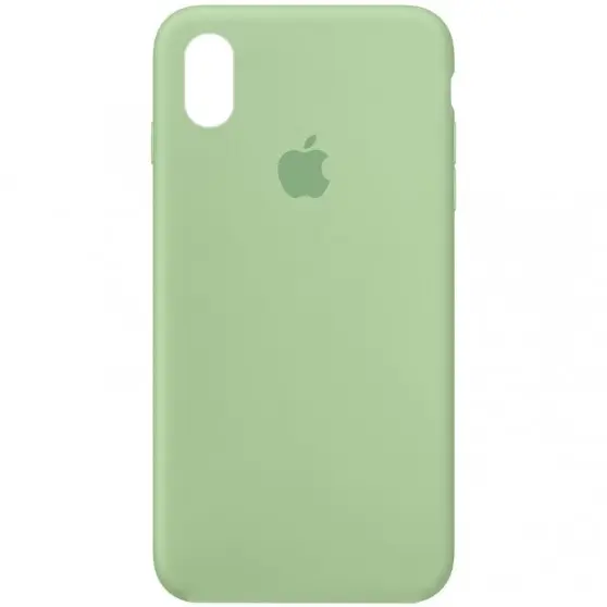 Чохол Silicone Case Full Protective (AA) для Apple iPhone XR (6.1") Зелений / Pistachio