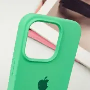 Чехол для Apple iPhone 14 Pro Max (6.7"") - Silicone Case Full Protective (AA) Зеленый / Spearmint