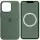Чохол Silicone case (AAA) with Magsafe and Animation для Apple iPhone 13 Pro Max (6.7") Зелений / Eucalyptus