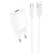 Зарядний пристрій Hoco C134A Solid 1A 12W + Type-C, White
