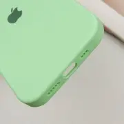 Чехол Silicone Case Full Protective (AA) для Apple iPhone 16 (6.1"), Зеленый / Pistachio