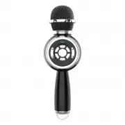 Караоке Мікрофон-колонка DS810 Black