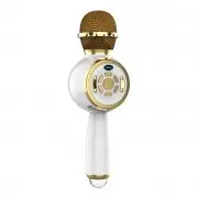 Караоке Мікрофон-колонка DS810 Gold
