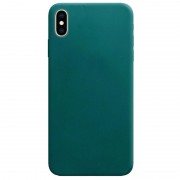 Силіконовий чохол Candy для Apple iPhone X / XS (Зелений / Forest green)