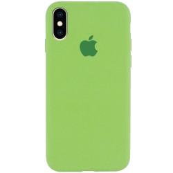 Чохол Silicone Case Full Protective (AA) для Apple iPhone X (5.8 "") / XS (5.8 "") (М'ятний / Mint)