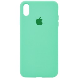 Чохол Silicone Case Full Protective (AA) для Apple iPhone X / XS (Зелений / Spearmint)