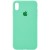 Чехол Silicone Case Full Protective (AA) для Apple iPhone X / XS (Зеленый / Spearmint)