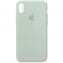 Чехол Silicone Case Full Protective (AA) для Apple iPhone X / XS (Бирюзовый / Beryl)