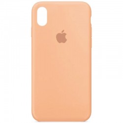 Чехол для iPhone X / XS Silicone Case Full Protective (AA) (Оранжевый / Cantaloupe)
