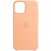 Чохол для iPhone 11 Pro Max Silicone Case (AA) (Помаранчевий / Cantaloupe)