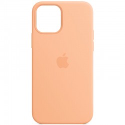 Чехол для iPhone 11 Pro Silicone Case Full Protective (AA) (Оранжевый / Cantaloupe)