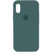 Чохол для iPhone X / XS Silicone Case Full Protective (AA) (Зелений/Light cactus)