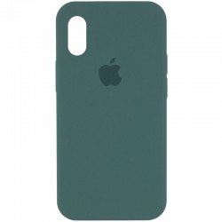 Чехол для iPhone X / XS Silicone Case Full Protective (AA) (Зеленый /Light cactus)