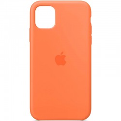 Чехол Silicone Case Full Protective (AA) для Apple iPhone 11 (6.1"") (Оранжевый / Vitamin C)