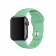 Силіконовий ремінець для Apple watch 38mm / 40mm (Зелений / Spearmint)