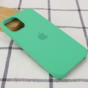 Чохол для iPhone 12 Pro / 12 Silicone Case (AA) (Зелений / Spearmint)