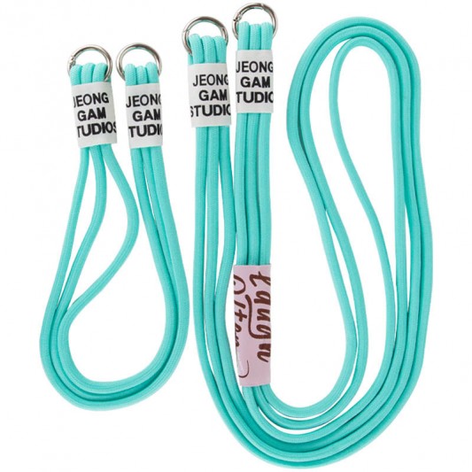 Чохол для Apple iPhone 11 (6.1"") - TPU two straps California Бірюзовий / Marine Green - зображення 4 