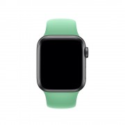 Силіконовий ремінець для Apple watch 42mm / 44mm (Зелений / Spearmint)