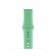 Силіконовий ремінець для Apple watch 42mm / 44mm (Зелений / Spearmint)