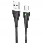 USB кабель Borofone BX100 Advantage USB to Type-C (1m), Черный