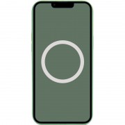 Чехол Silicone case (AAA) full with Magsafe and Animation для Apple iPhone 13 (6.1"), Зеленый / Eucalyptus