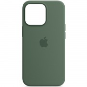 Чохол Silicone case (AAA) full with Magsafe and Animation для Apple iPhone 13 Pro (6.1"), Зелений / Eucalyptus