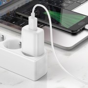 Зарядний пристрій Hoco C134A Solid 1A 12W + MicroUSB, White