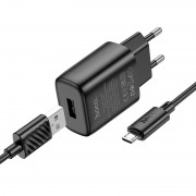 Зарядное устройство Hoco C134A Solid 1A 12W + MicroUSB, Black