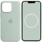 Чехол Silicone case (AAA) full with Magsafe and Animation для Apple iPhone 14 Pro Max (6.7"), Бирюзовый / Succulent