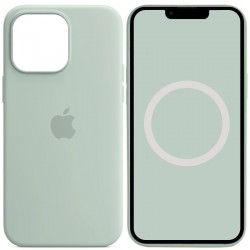 Чехол Silicone case (AAA) full with Magsafe and Animation для Apple iPhone 14 Pro (6.1"), Бирюзовый / Succulent