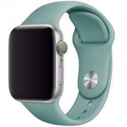 Силіконовий ремінець для Apple watch 42mm/44mm/45mm/49mm, Зелений / Cactus