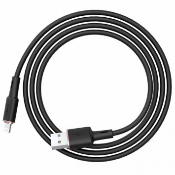 Шнур для Айфона Acefast MFI C2-02 USB-A to Lightning zinc alloy silicone (1m), Black - Lightning - зображення 2 