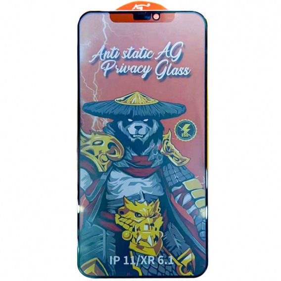 Захисне скло Privacy 5D (антишпигун) Matte Anti-Static (тех.пак) для Apple iPhone 11/XR (6.1"), Чорний