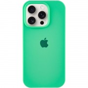 Чохол Silicone Case Full Protective (AA) для Apple iPhone 13 Pro (6.1") Зелений / Spearmint