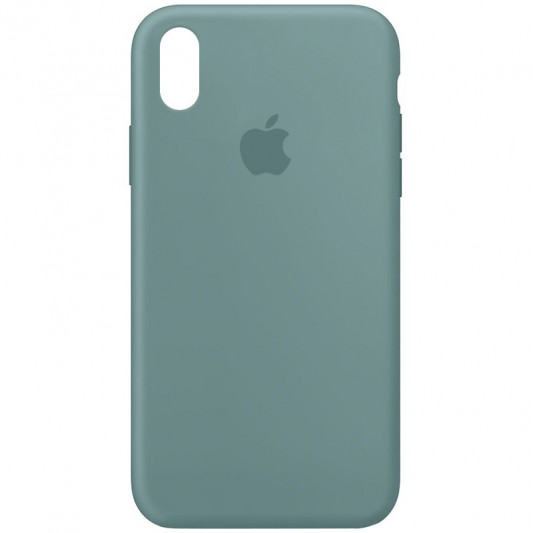 Чохол Silicone Case Full Protective (AA) для Apple iPhone XR (6.1") Зелений / Cactus