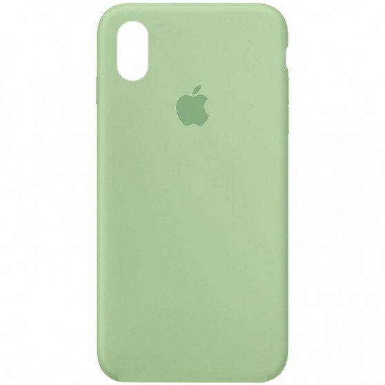 Чехол Silicone Case Full Protective (AA) для Apple iPhone X / XS (5.8") Зеленый / Pistachio